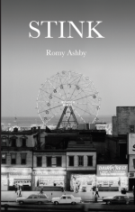 Stink by Romy Ashby - cover