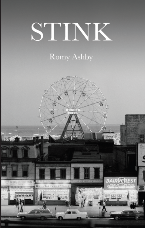 Cover of Stink - black and white photograph of the wonderwheel at dusk by Chris Stein