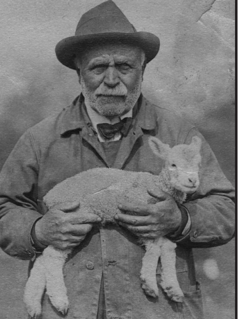 Cathy Clarke's grandfather, the Prospect Park shepherd.